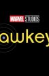 Hawkeye TV Show Cancelled or Renewal?