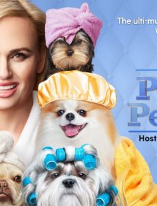 Pooch Perfect Cancelled ABC