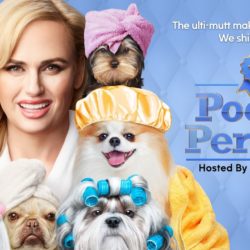 Pooch Perfect Cancelled ABC