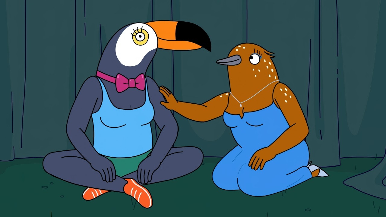 Tuca & Bertie Cancelled by Adult Swim